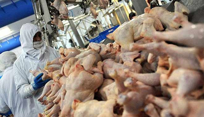 Suudi Arabistan, Türkiye’den hayvansal ürün ithalatını yasakladı